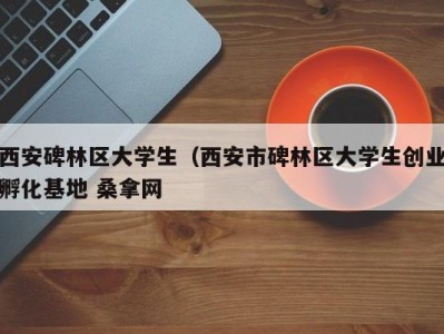 哈尔滨西安碑林区大学生（西安市碑林区大学生创业孵化基地 桑拿网