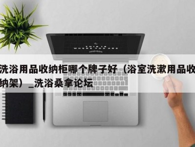 哈尔滨洗浴用品收纳柜哪个牌子好（浴室洗漱用品收纳架）_洗浴桑拿论坛