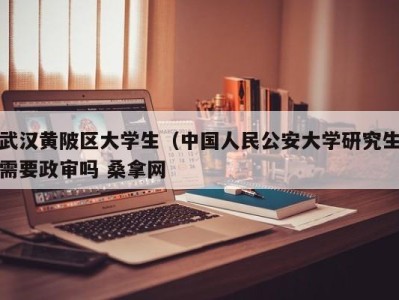 哈尔滨武汉黄陂区大学生（中国人民公安大学研究生需要政审吗 桑拿网