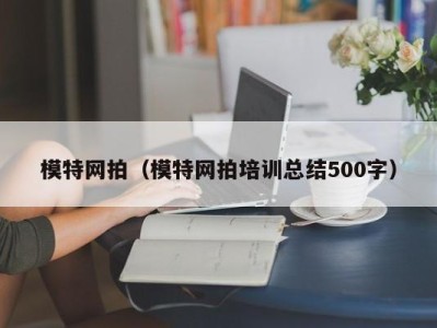 哈尔滨模特网拍（模特网拍培训总结500字）